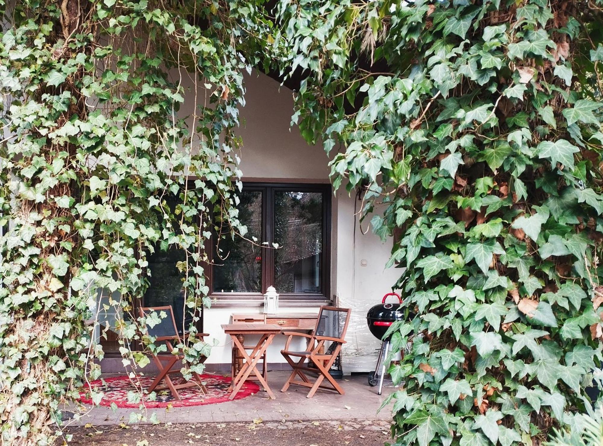 Hotel Nest 4 Rest Konstancin-Jeziorna Zewnętrze zdjęcie